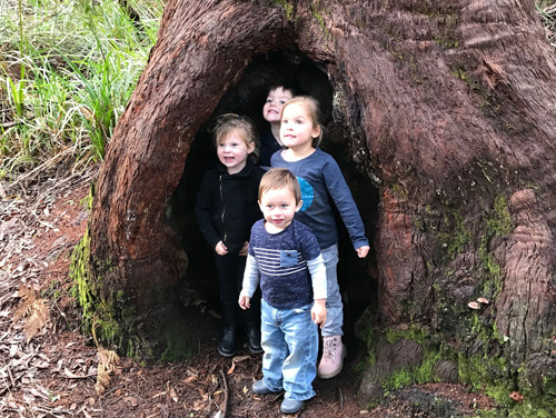 Kids in a small Tingle tree